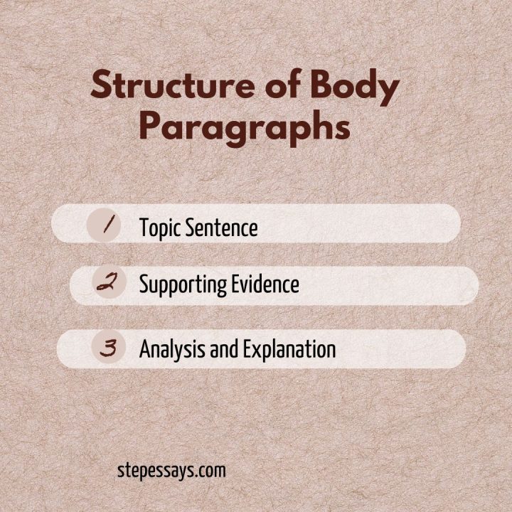 Body Paragraphs